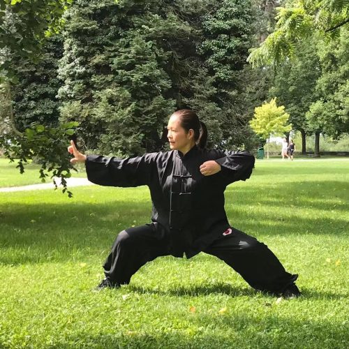 Prof Qi Gong Qi Gong